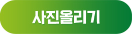 사진 올리기